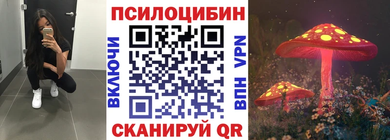 Псилоцибиновые грибы Psilocybine cubensis  Туапсе 